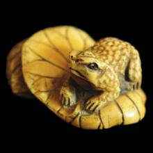 Netsuke en ivoire, grenouille